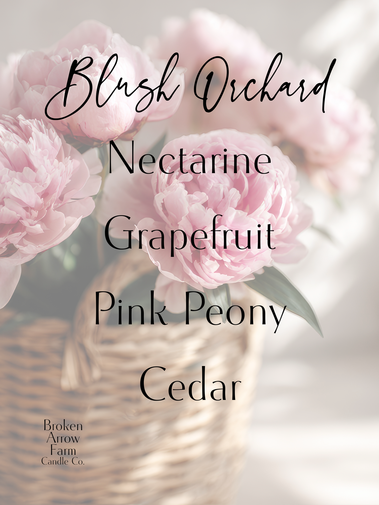 Blush Orchard