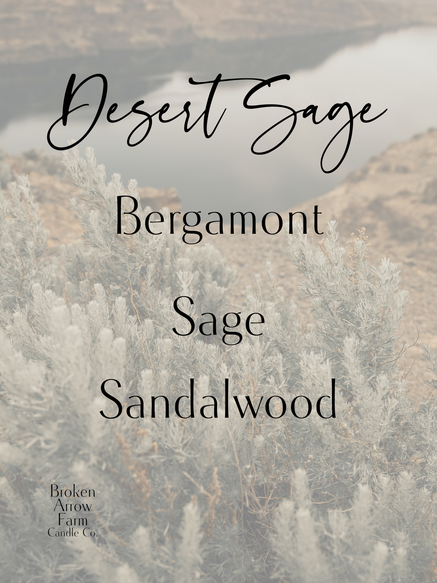 Desert Sage