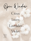 Open Window